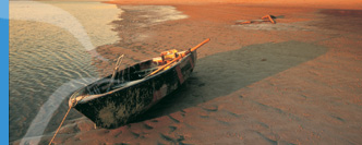 Sandy beaches