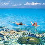 Snorkelling on the reef