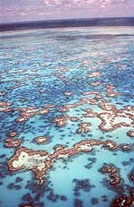 Great Barrier Reef